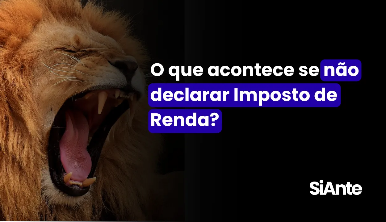 O que acontece se não declarar Imposto de Renda?